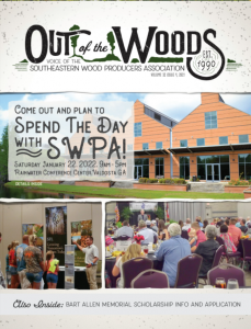 Out of the woods - Issue 2, 2022