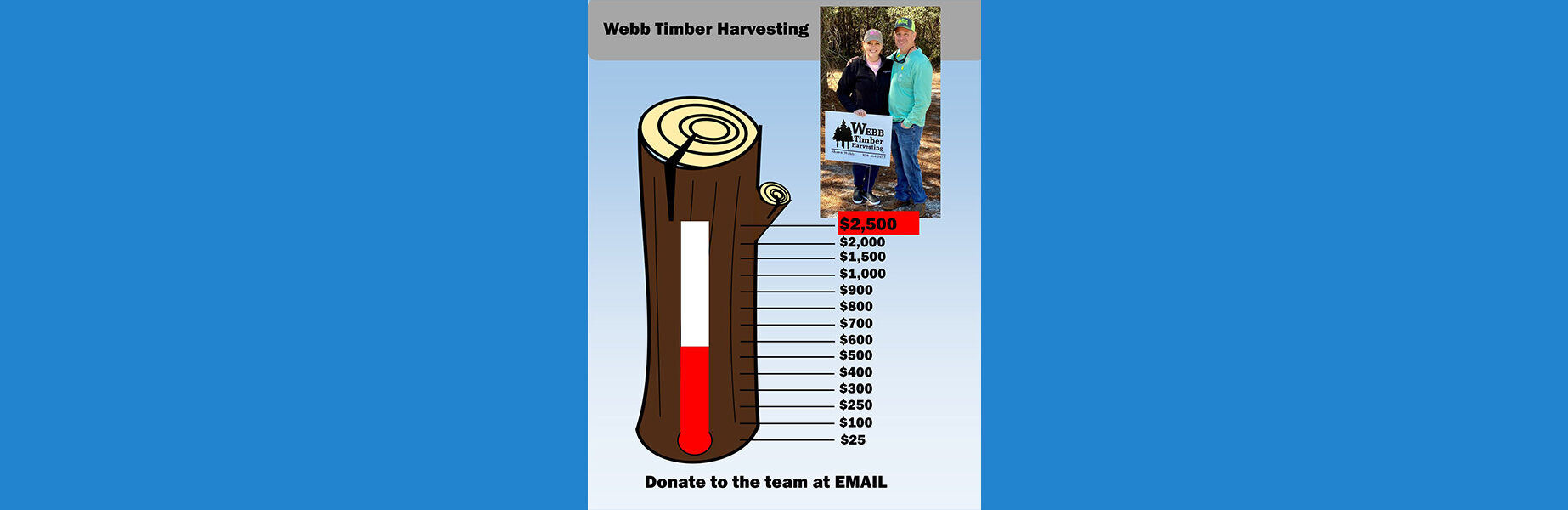 DWTL WEBB TIMBER Thermometer